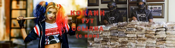 крисы Алексеевка