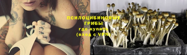 mix Алексин