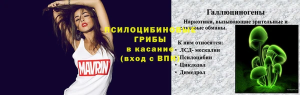 крисы Алексеевка