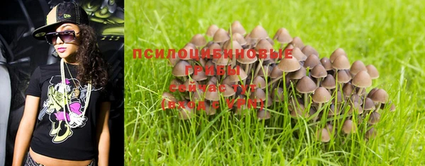 PSILOCYBIN Алзамай