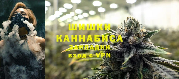 PSILOCYBIN Алзамай