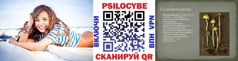 Псилоцибиновые грибы Magic Shrooms  KRAKEN зеркало  Жиздра 